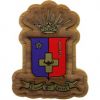 Sigma Phi Epsilon - Decal Crest with Background