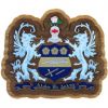 Alpha Xi Delta - Decal Crest with Background